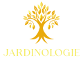 fulllogo transparent